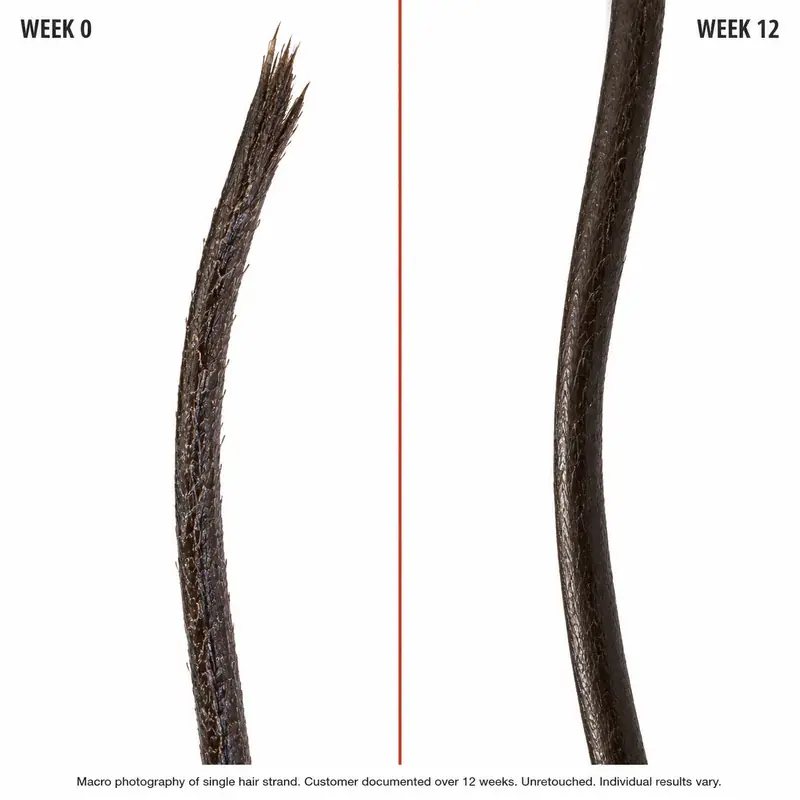 Mèche de cheveux : semaine 0 et semaine 12