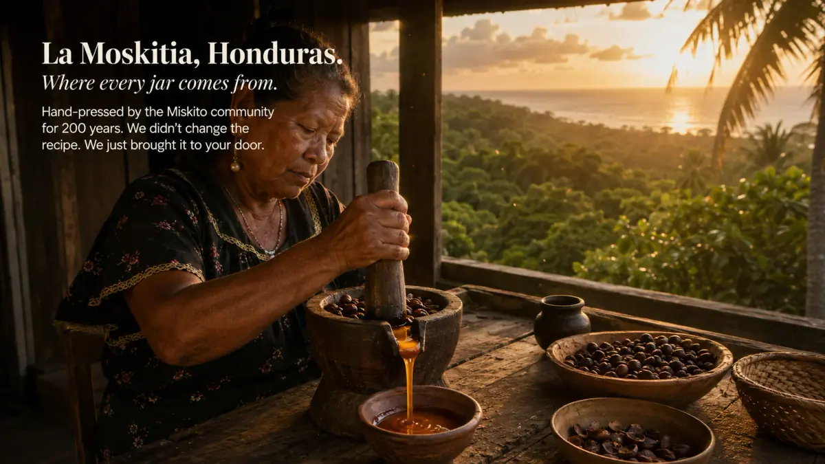 Illustration de la préparation traditionnelle du Batana à La Moskitia, Honduras